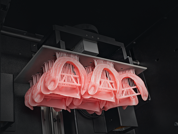Bases de protheses imprimees - PRO 30